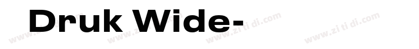 称 Druk Wide字体转换